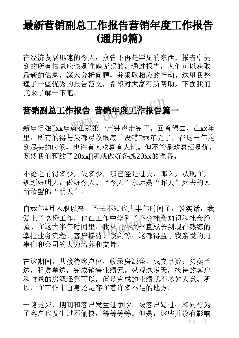 最新营销副总工作报告 营销年度工作报告(通用9篇)