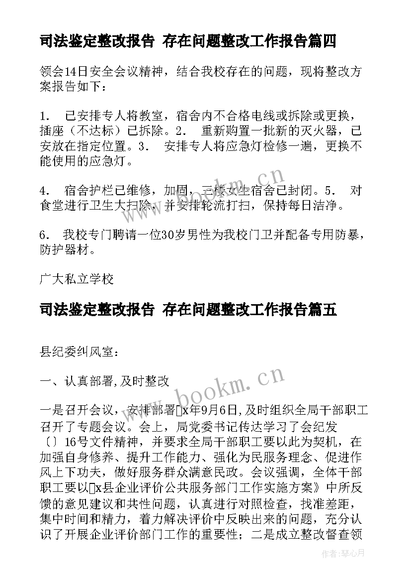 2023年司法鉴定整改报告 存在问题整改工作报告(大全9篇)