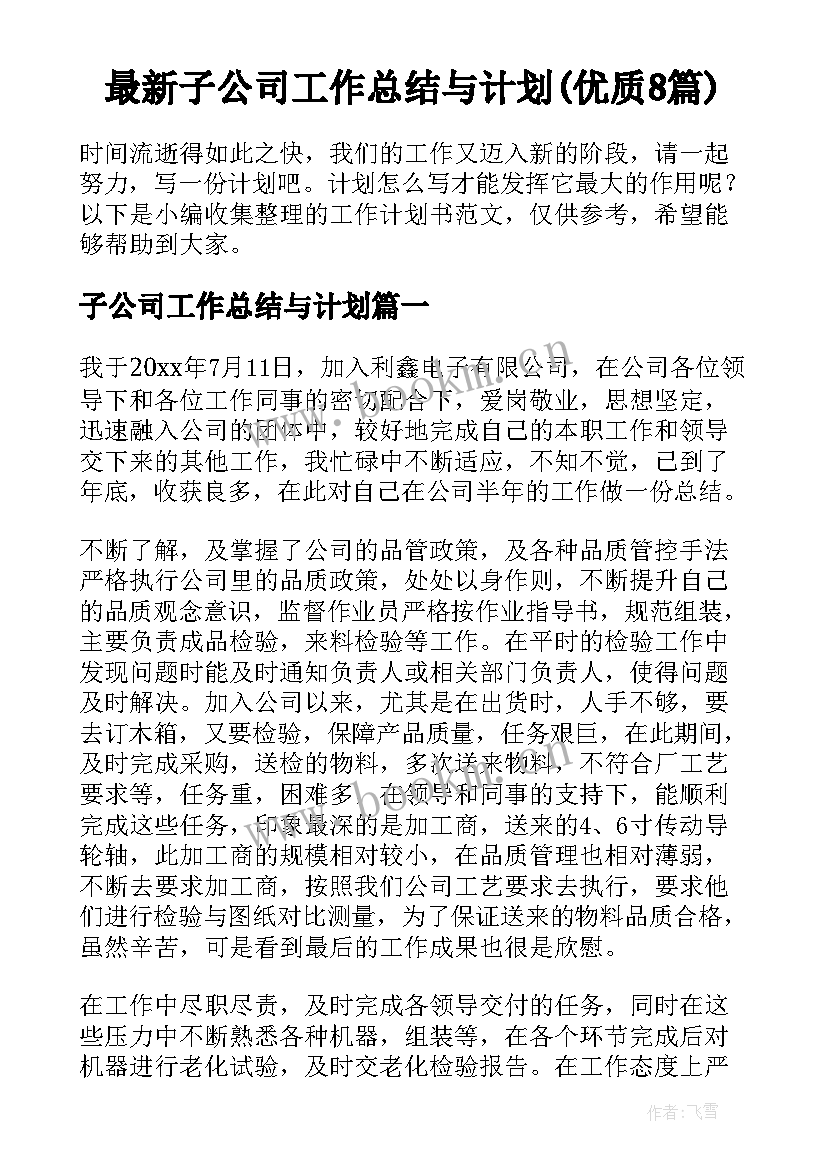 最新子公司工作总结与计划(优质8篇)