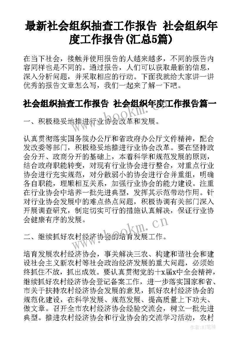 最新社会组织抽查工作报告 社会组织年度工作报告(汇总5篇)