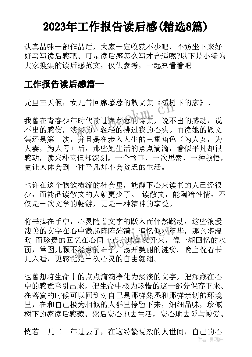 2023年工作报告读后感(精选8篇)