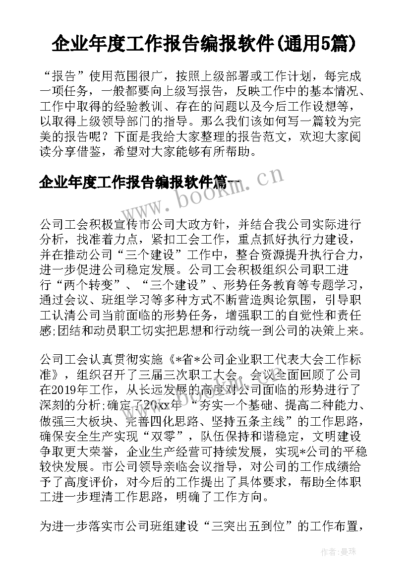 企业年度工作报告编报软件(通用5篇)