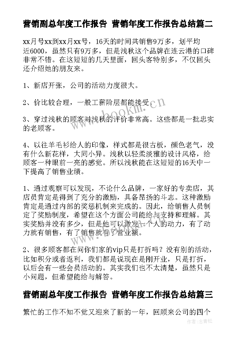 营销副总年度工作报告 营销年度工作报告总结(汇总5篇)