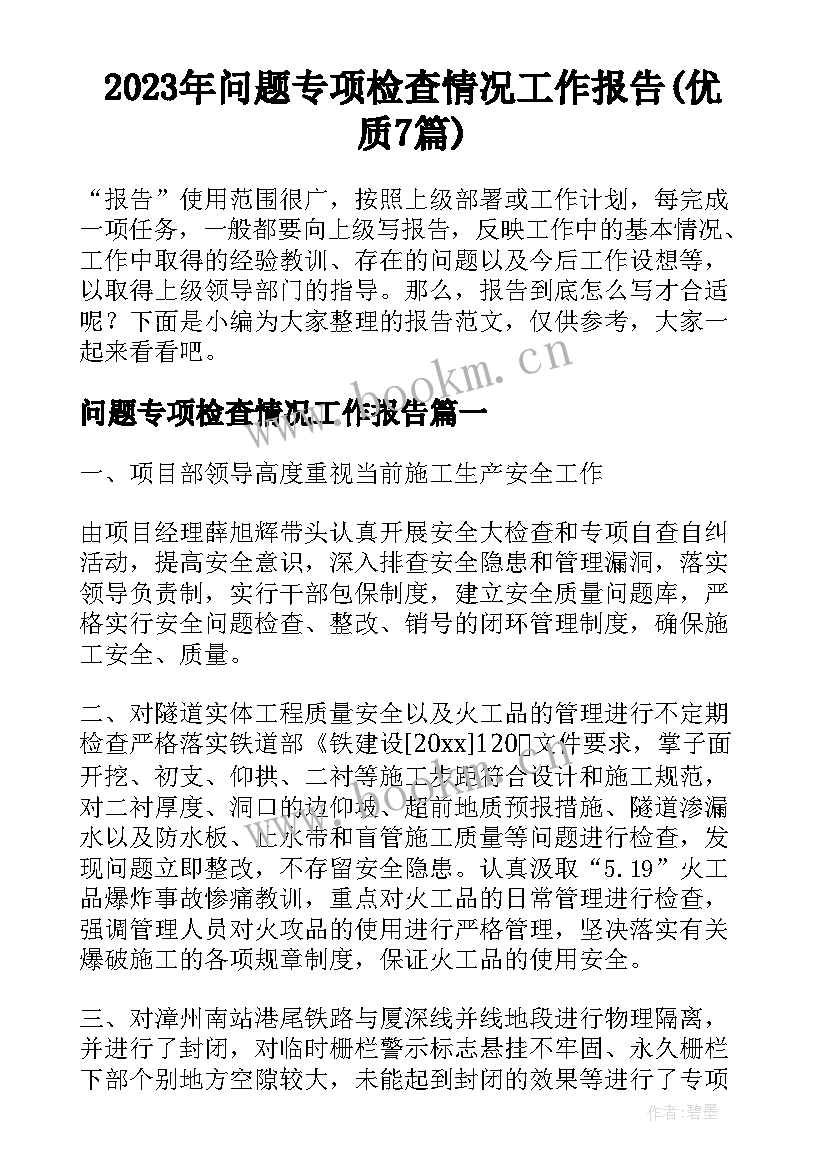 2023年问题专项检查情况工作报告(优质7篇)