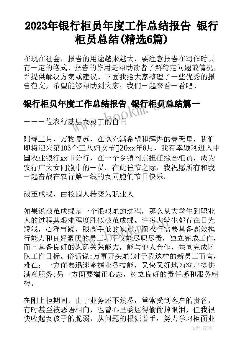 2023年银行柜员年度工作总结报告 银行柜员总结(精选6篇)