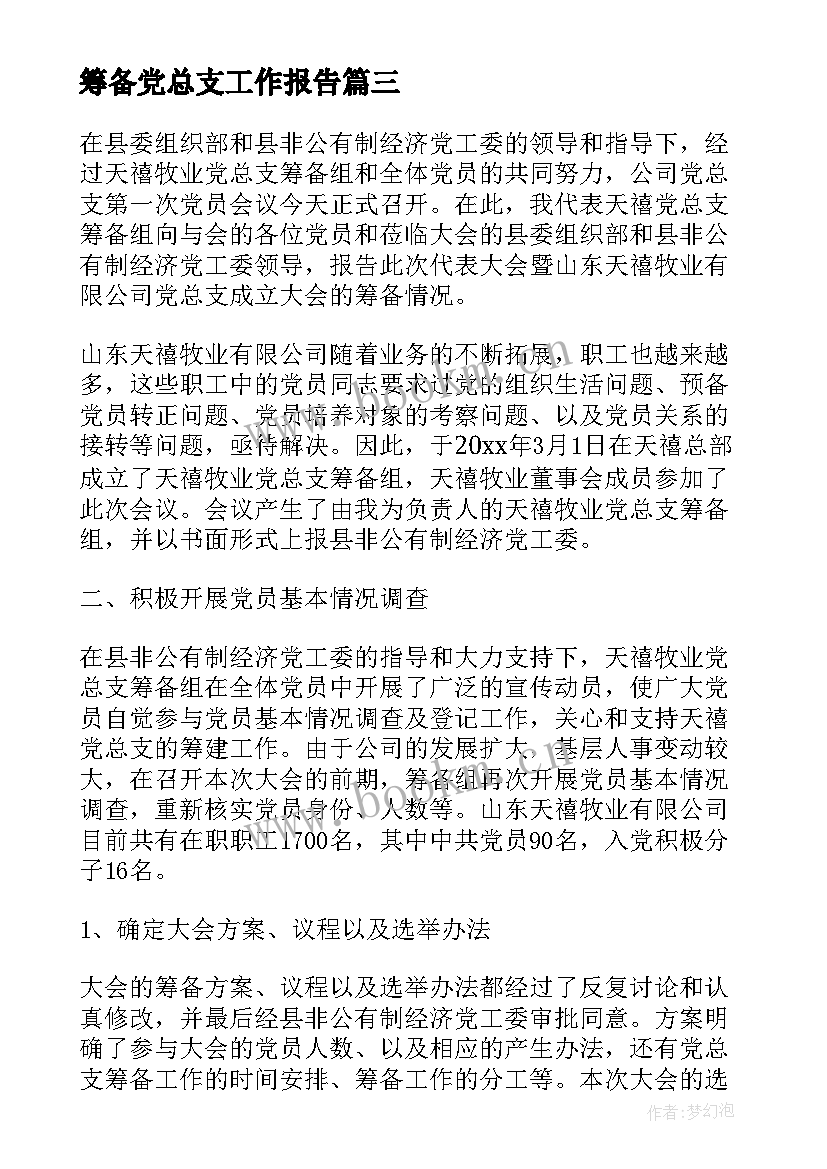 最新筹备党总支工作报告(大全6篇)