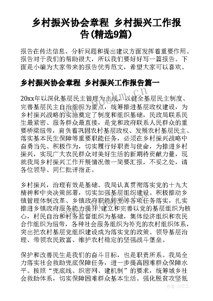 乡村振兴协会章程 乡村振兴工作报告(精选9篇)