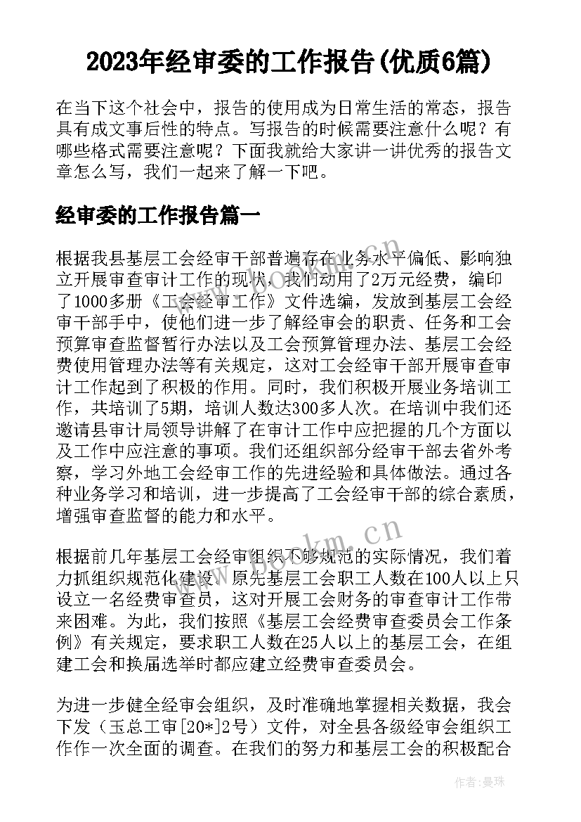 2023年经审委的工作报告(优质6篇)