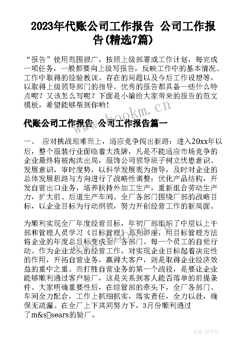 2023年代账公司工作报告 公司工作报告(精选7篇)