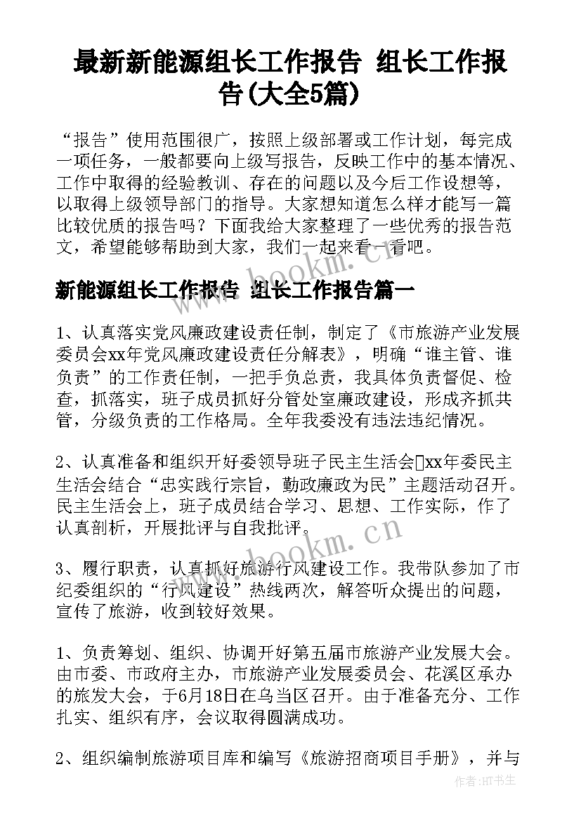 最新新能源组长工作报告 组长工作报告(大全5篇)