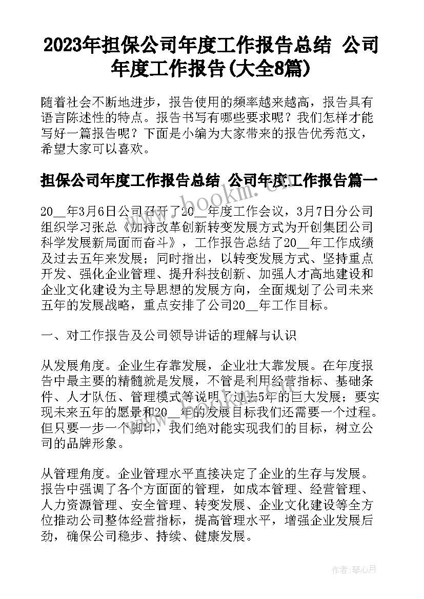 2023年担保公司年度工作报告总结 公司年度工作报告(大全8篇)