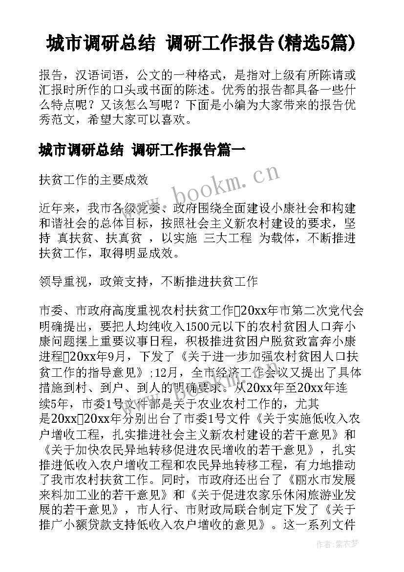 城市调研总结 调研工作报告(精选5篇)