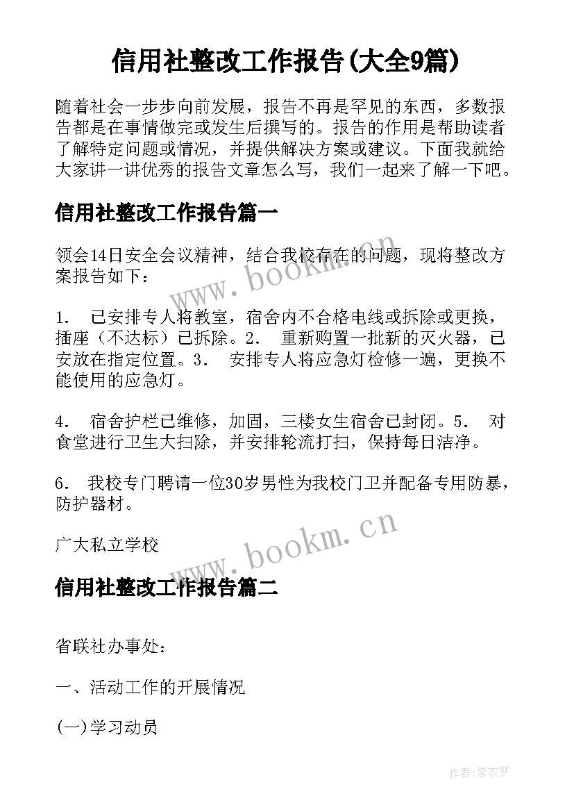 信用社整改工作报告(大全9篇)