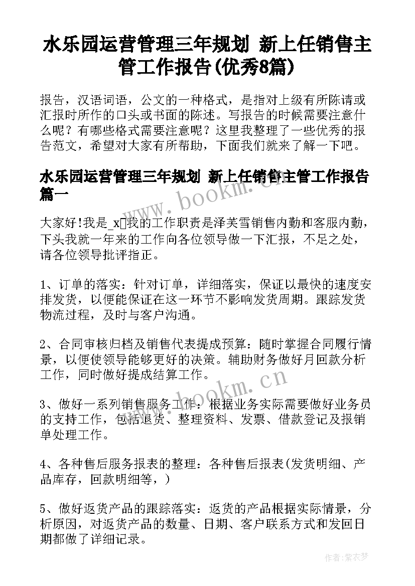 水乐园运营管理三年规划 新上任销售主管工作报告(优秀8篇)