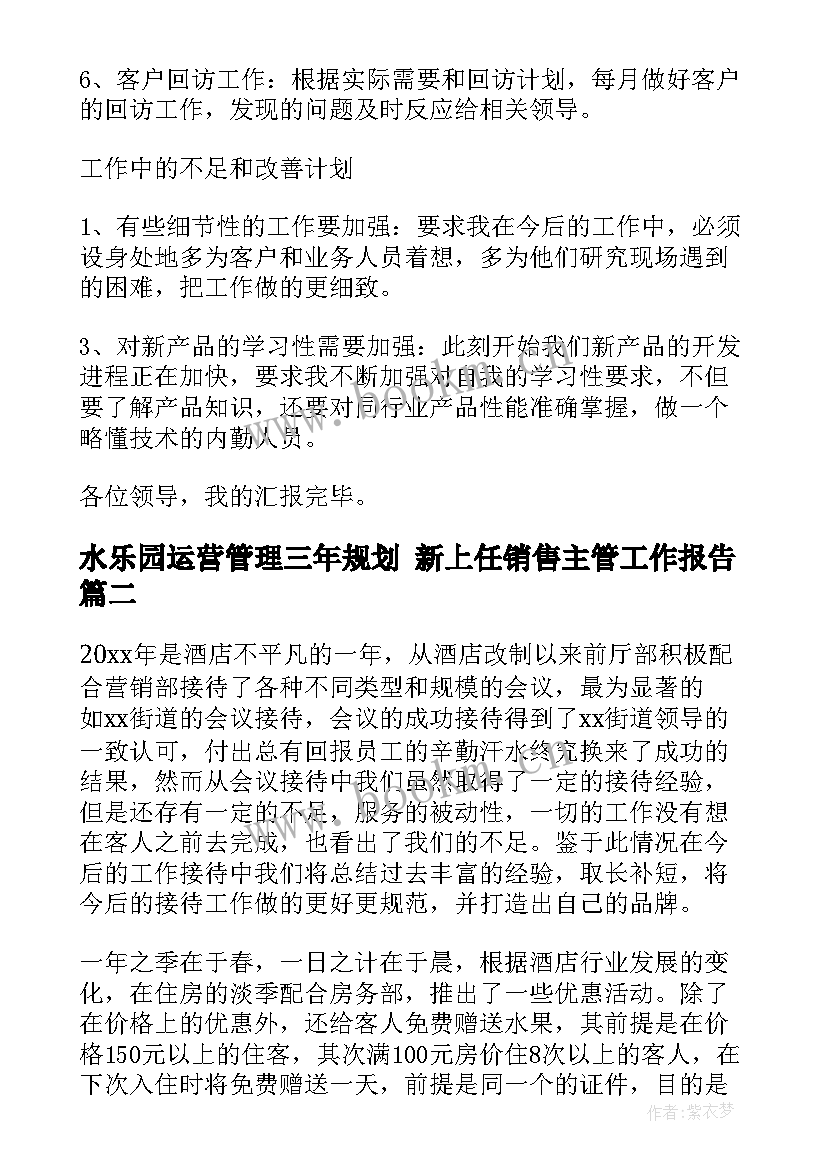 水乐园运营管理三年规划 新上任销售主管工作报告(优秀8篇)