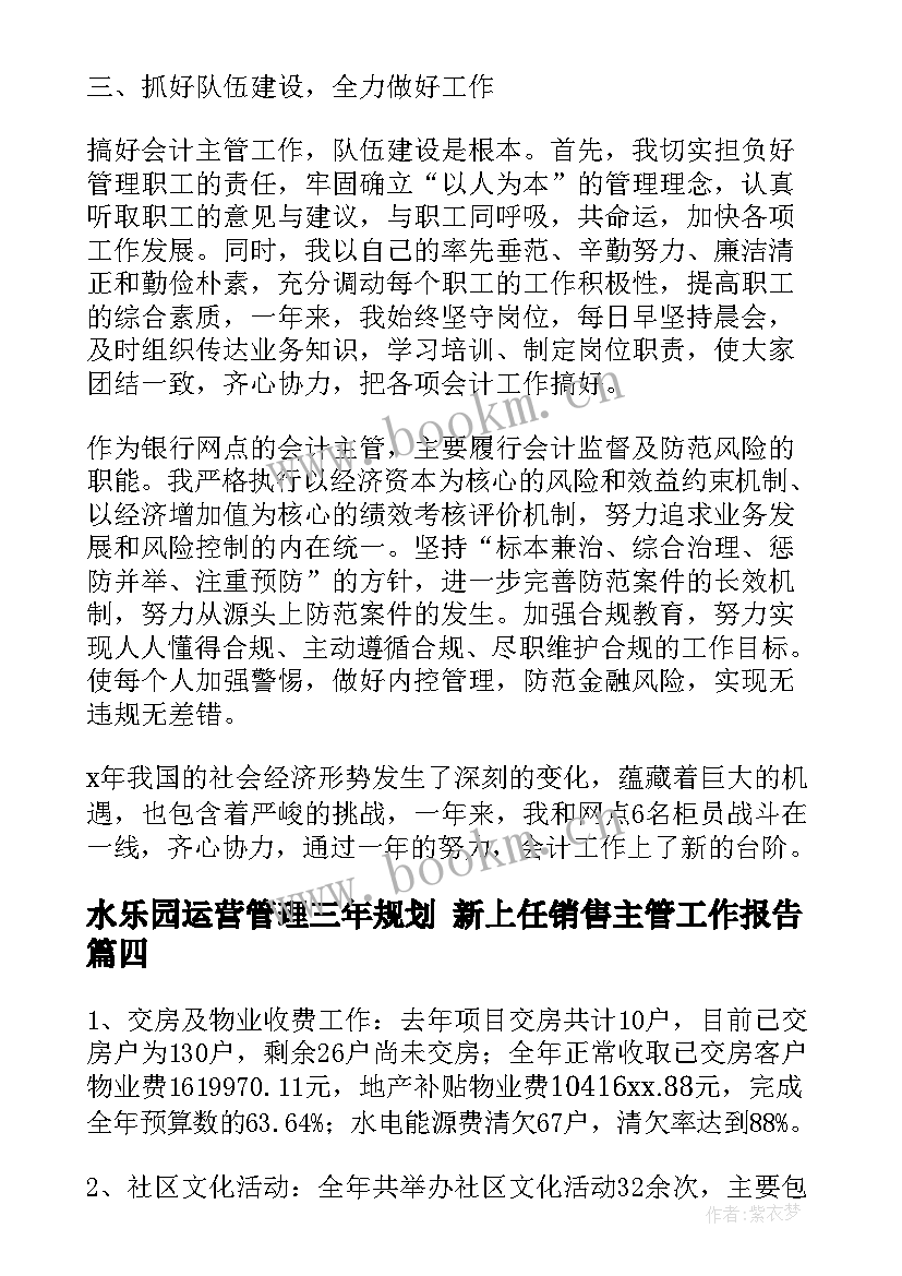 水乐园运营管理三年规划 新上任销售主管工作报告(优秀8篇)