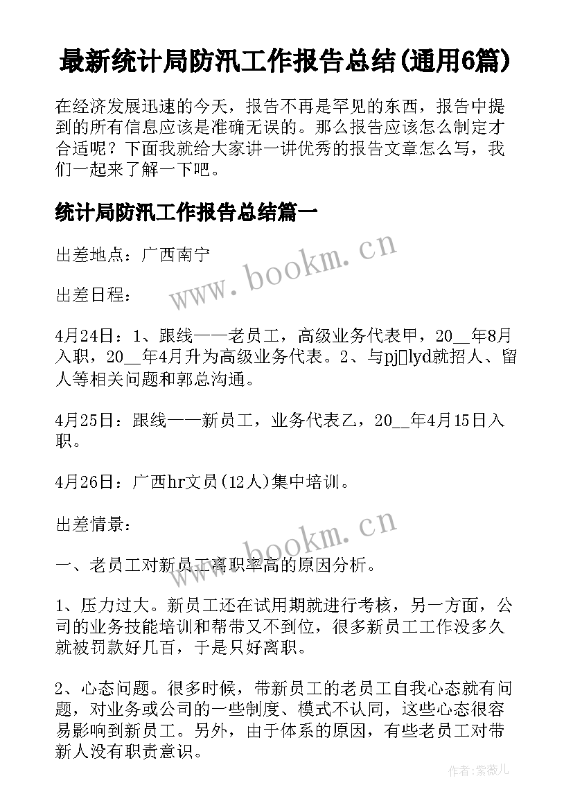 最新统计局防汛工作报告总结(通用6篇)