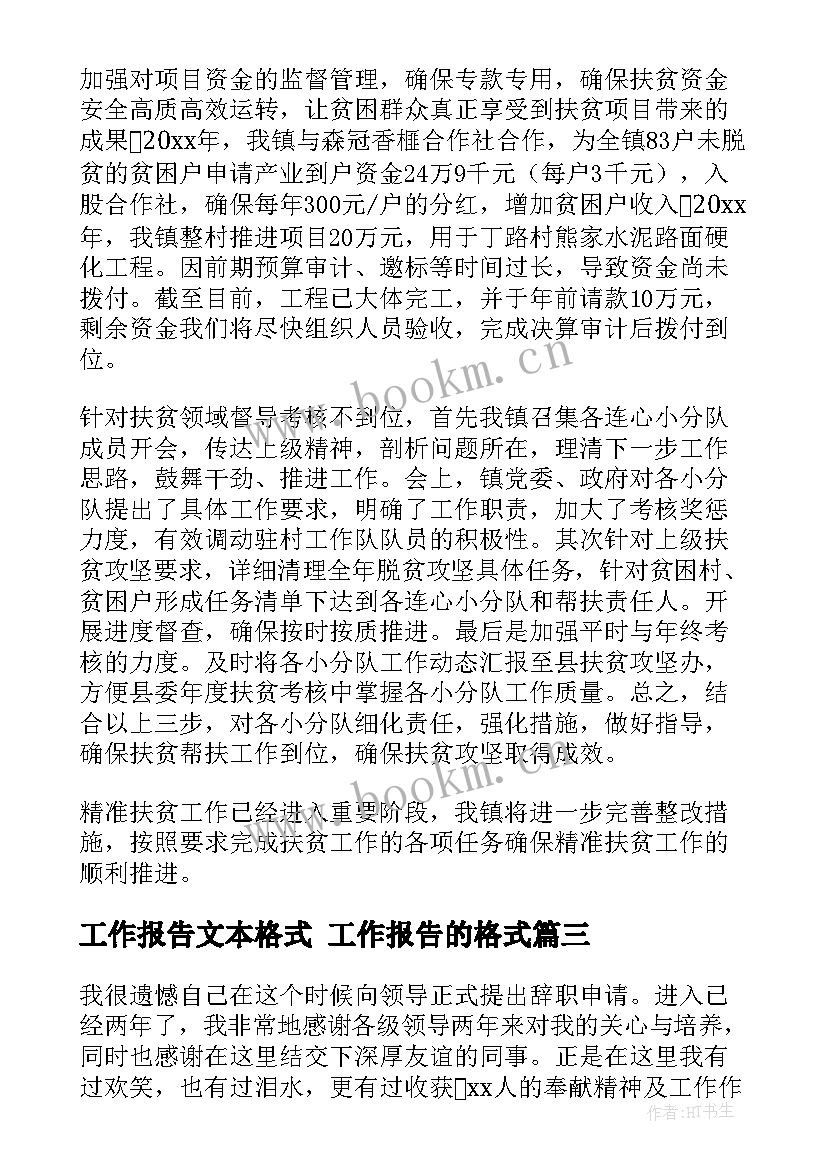 工作报告文本格式 工作报告的格式(精选7篇)