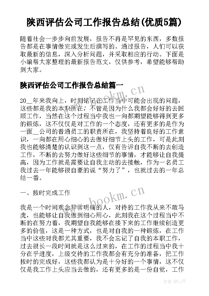 陕西评估公司工作报告总结(优质5篇)