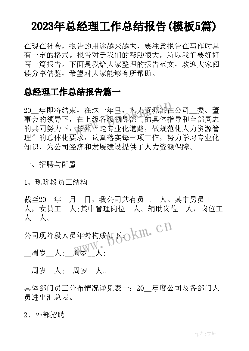 2023年总经理工作总结报告(模板5篇)