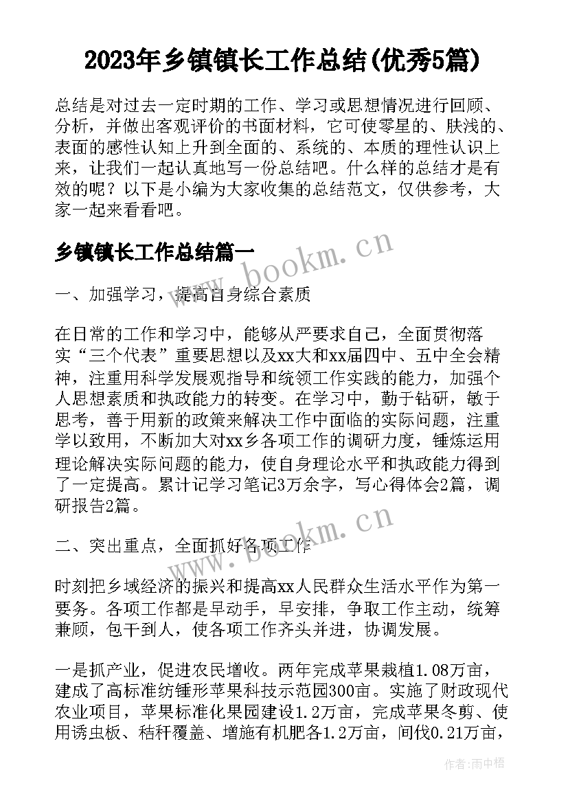 2023年乡镇镇长工作总结(优秀5篇)