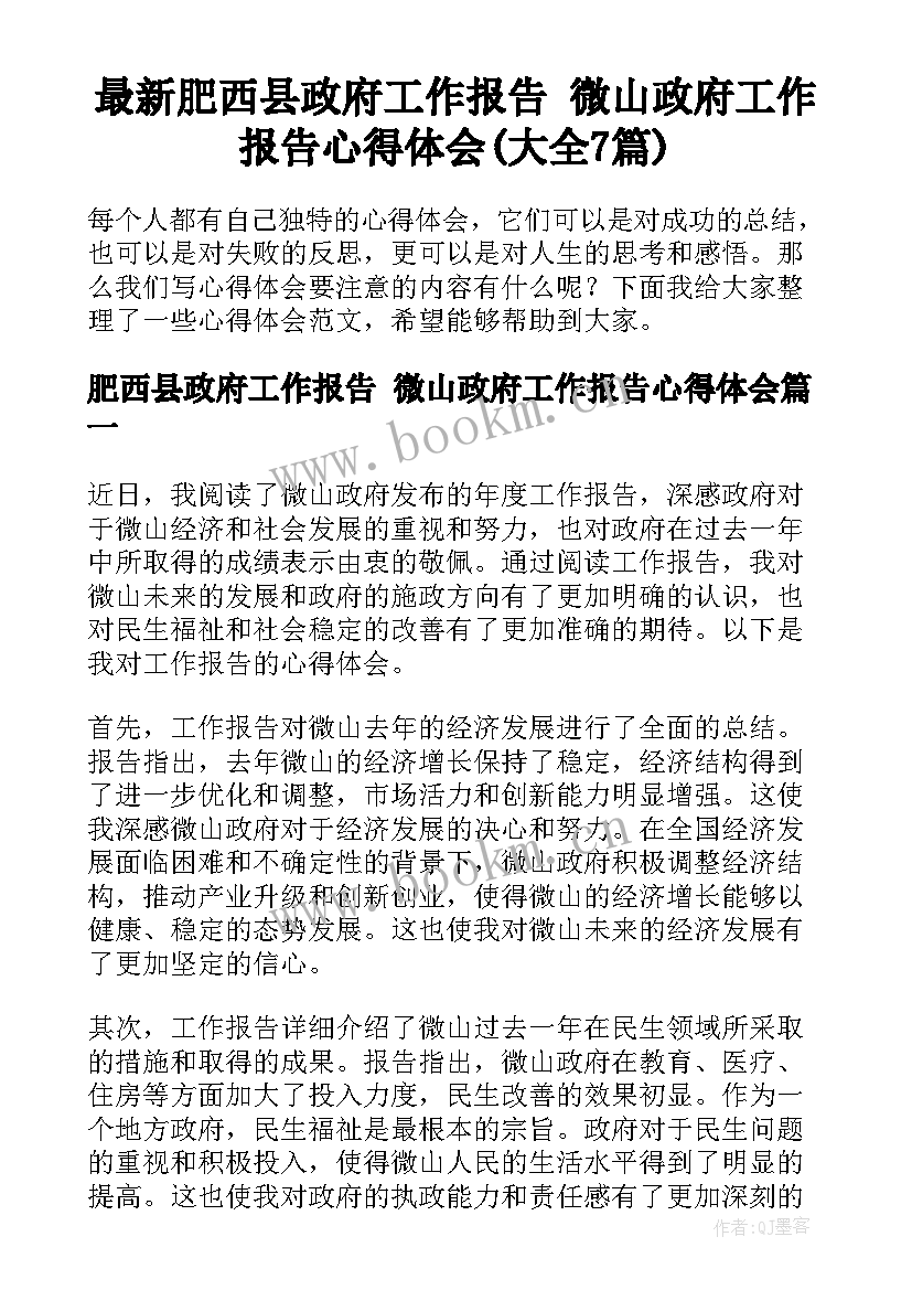 最新肥西县政府工作报告 微山政府工作报告心得体会(大全7篇)