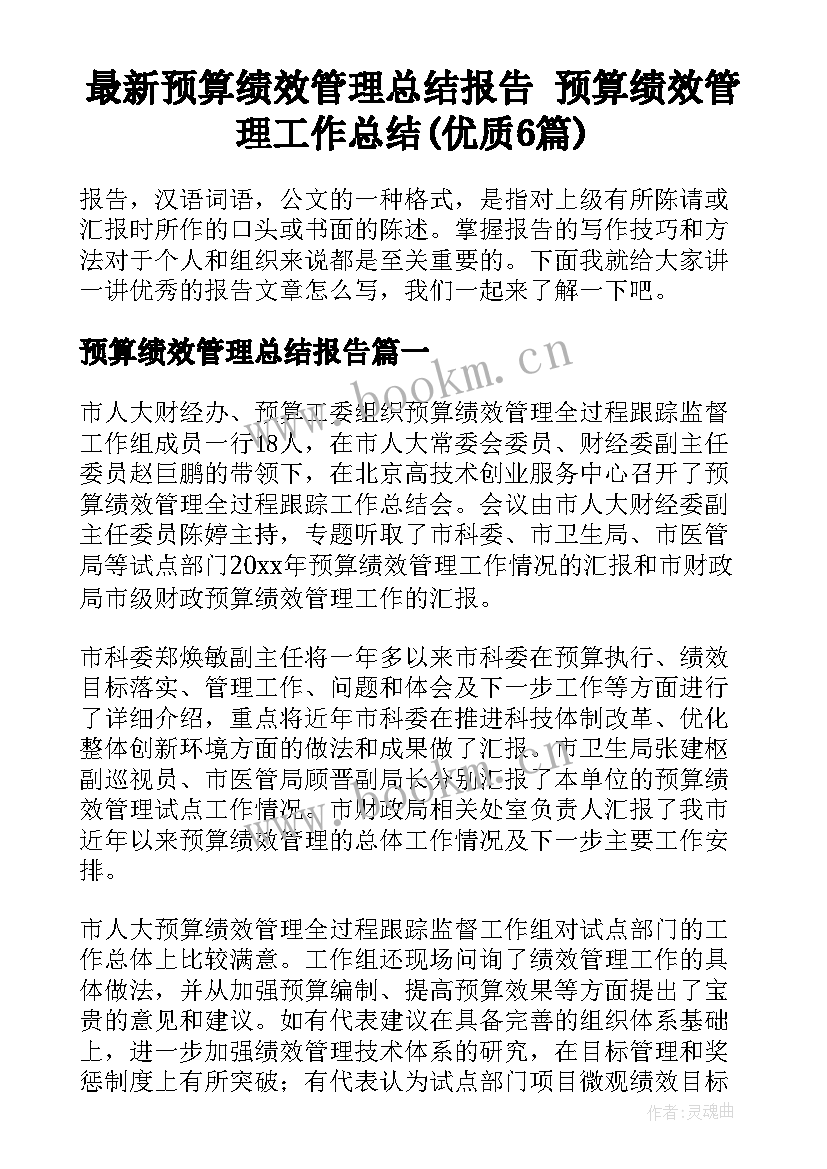 最新预算绩效管理总结报告 预算绩效管理工作总结(优质6篇)