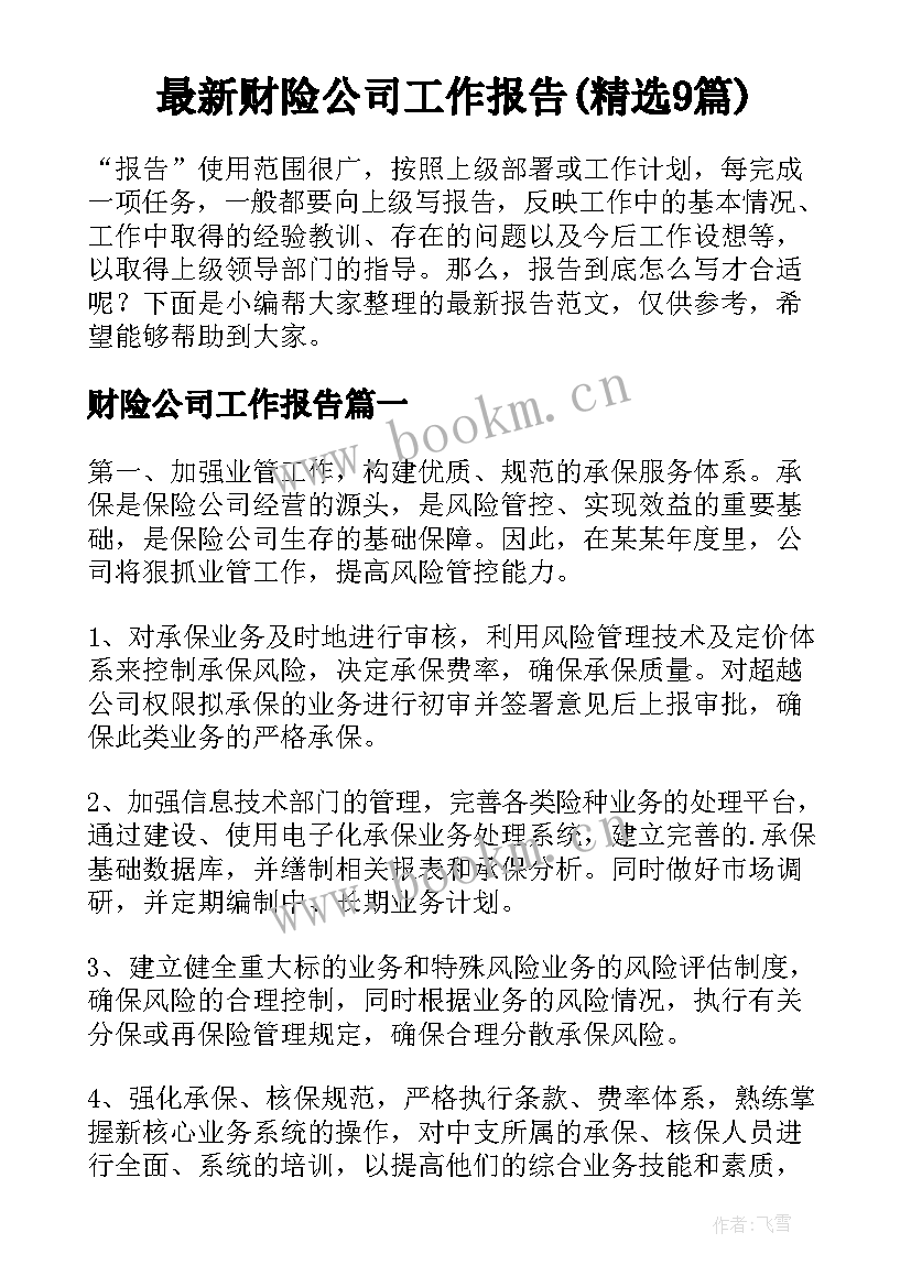 最新财险公司工作报告(精选9篇)