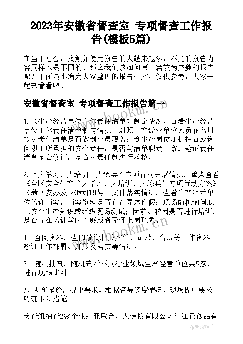 2023年安徽省督查室 专项督查工作报告(模板5篇)