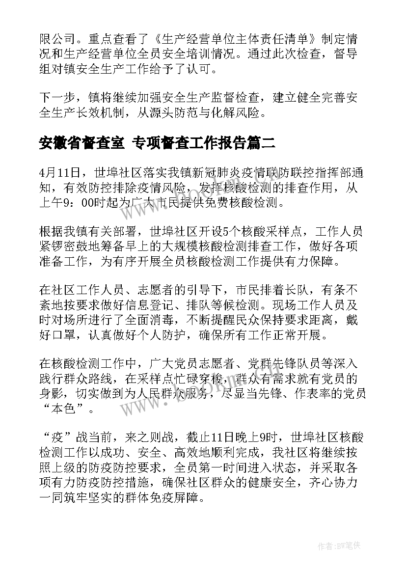 2023年安徽省督查室 专项督查工作报告(模板5篇)