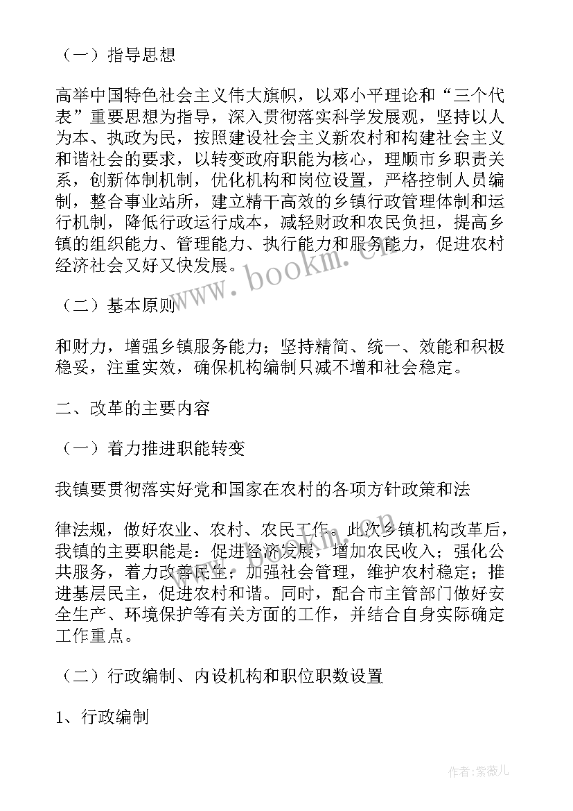 乡镇项目实施方案(实用6篇)