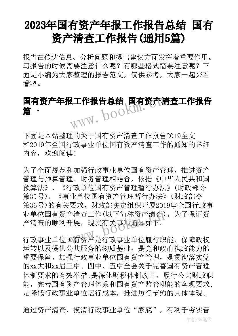 2023年国有资产年报工作报告总结 国有资产清查工作报告(通用5篇)