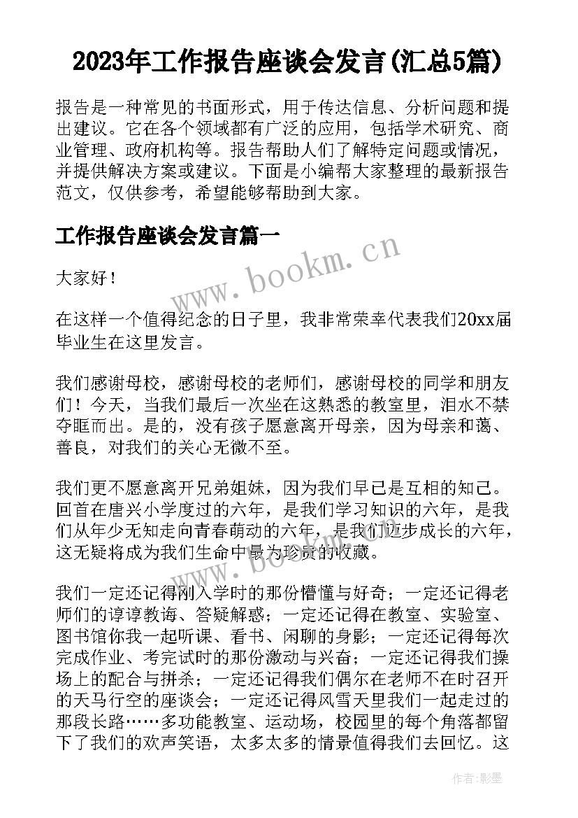 2023年工作报告座谈会发言(汇总5篇)