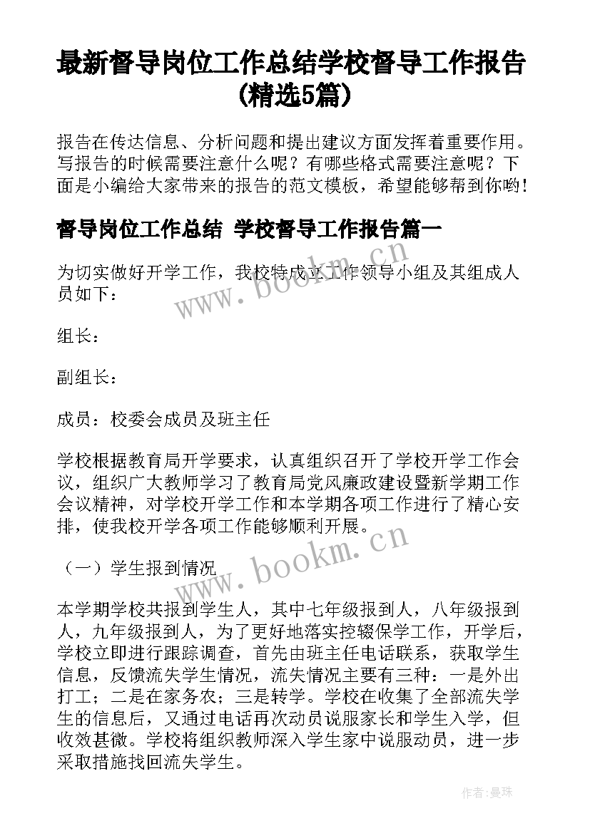 最新督导岗位工作总结 学校督导工作报告(精选5篇)