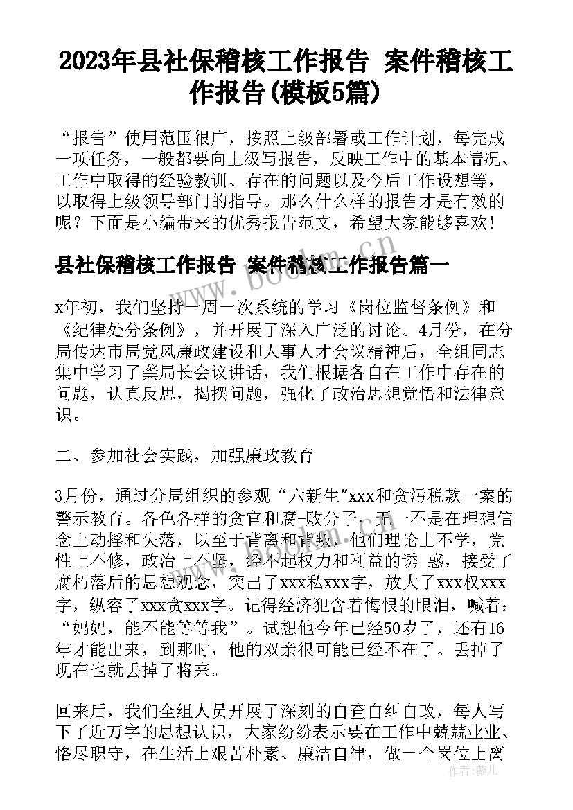 2023年县社保稽核工作报告 案件稽核工作报告(模板5篇)