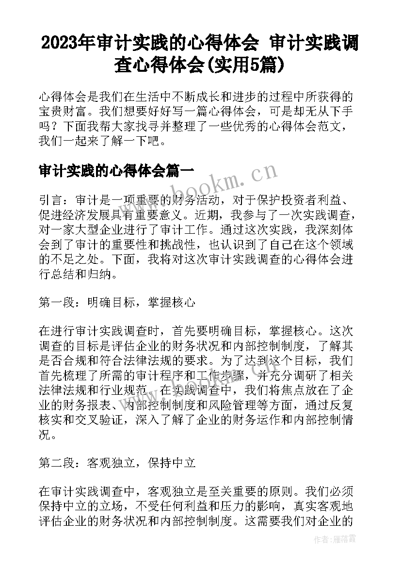 2023年审计实践的心得体会 审计实践调查心得体会(实用5篇)