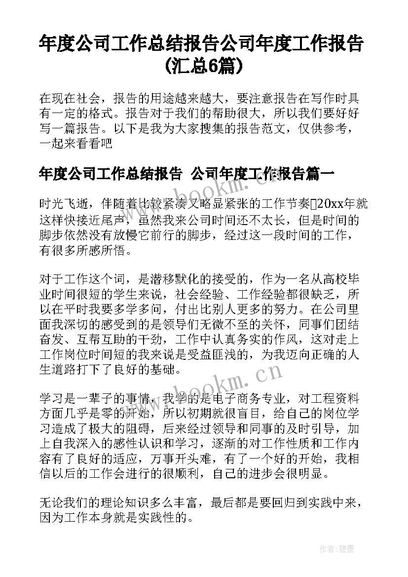 年度公司工作总结报告 公司年度工作报告(汇总6篇)