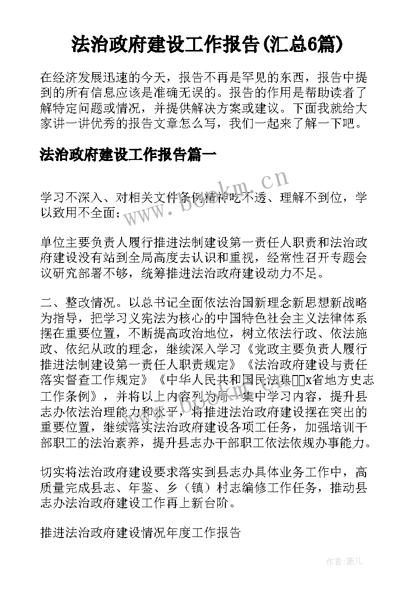 法治政府建设工作报告(汇总6篇)