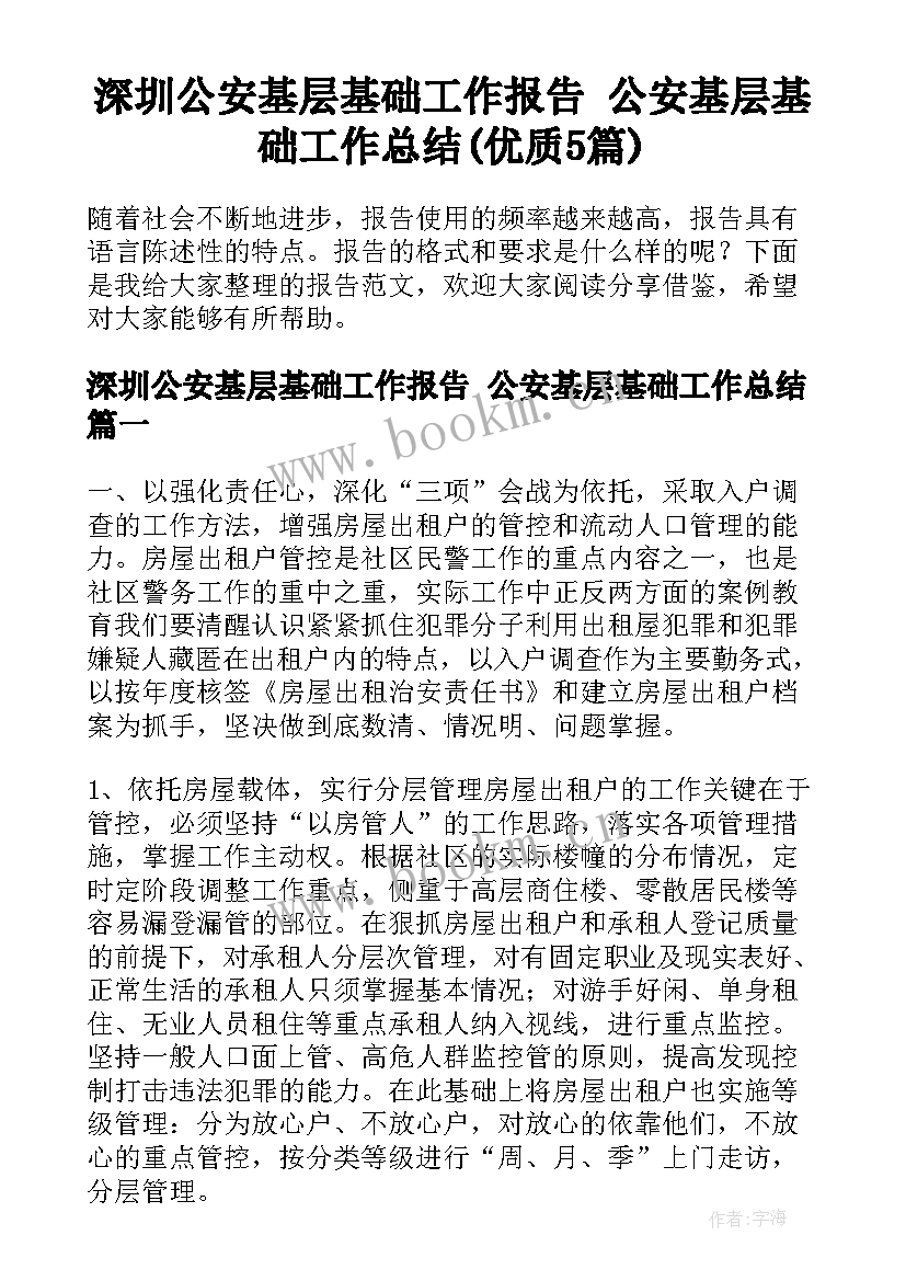 深圳公安基层基础工作报告 公安基层基础工作总结(优质5篇)