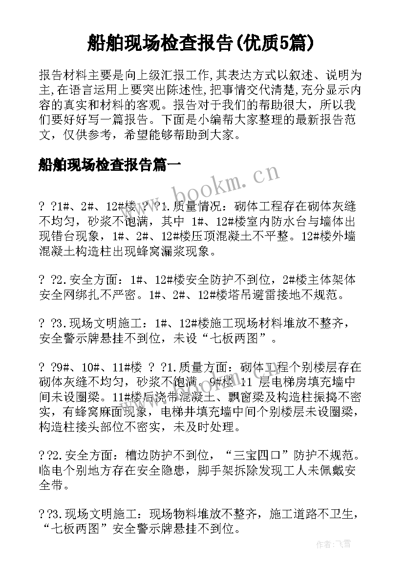 船舶现场检查报告(优质5篇)