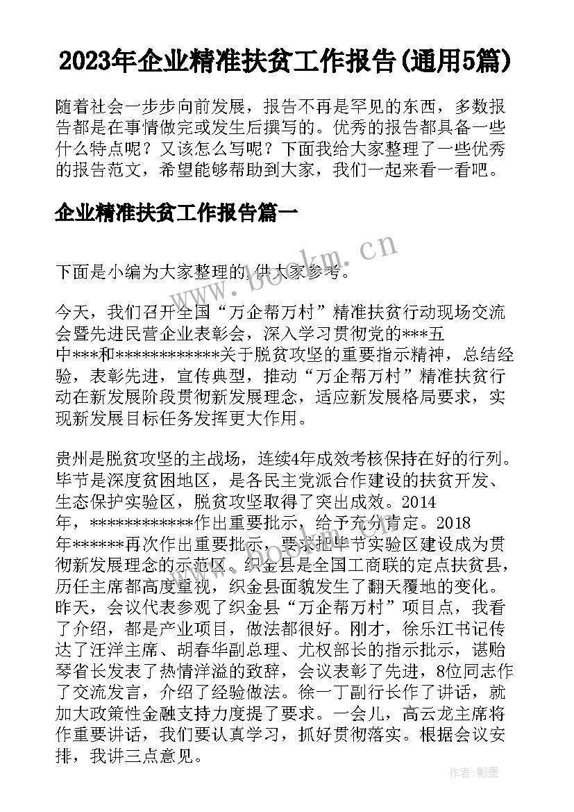 2023年企业精准扶贫工作报告(通用5篇)