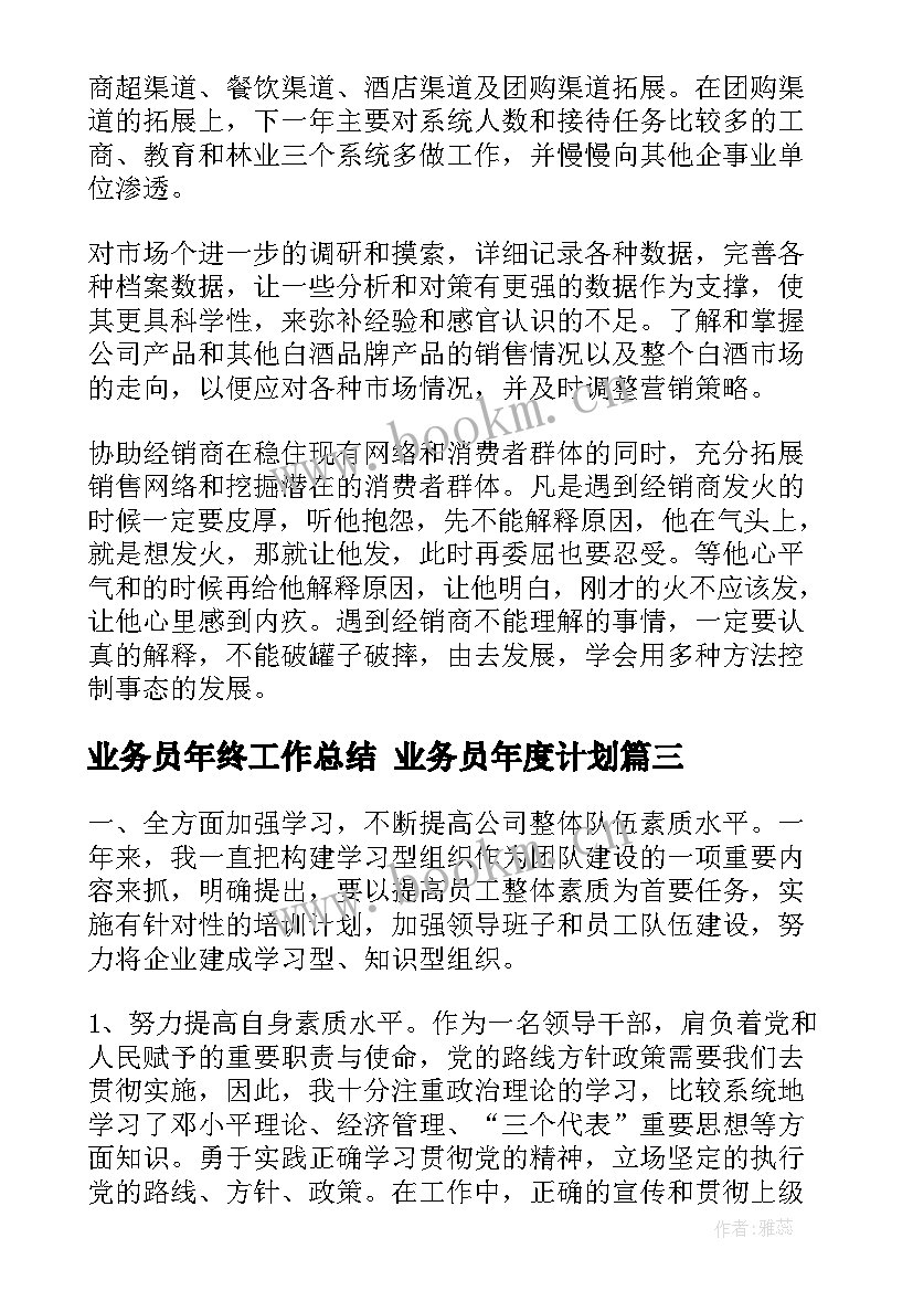 2023年业务员年终工作总结 业务员年度计划(精选9篇)