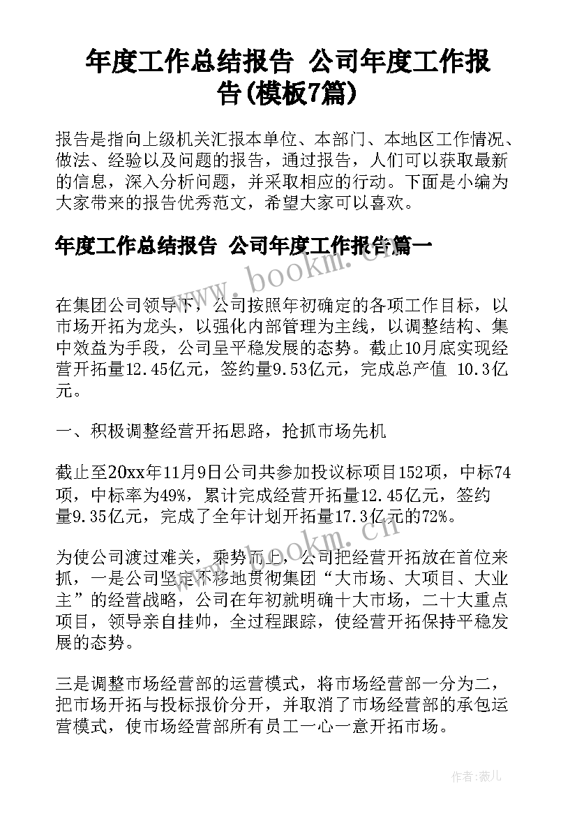 年度工作总结报告 公司年度工作报告(模板7篇)