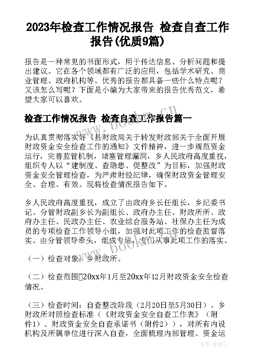 2023年检查工作情况报告 检查自查工作报告(优质9篇)