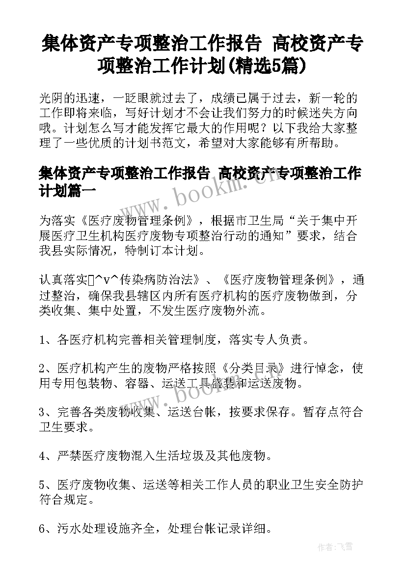 集体资产专项整治工作报告 高校资产专项整治工作计划(精选5篇)