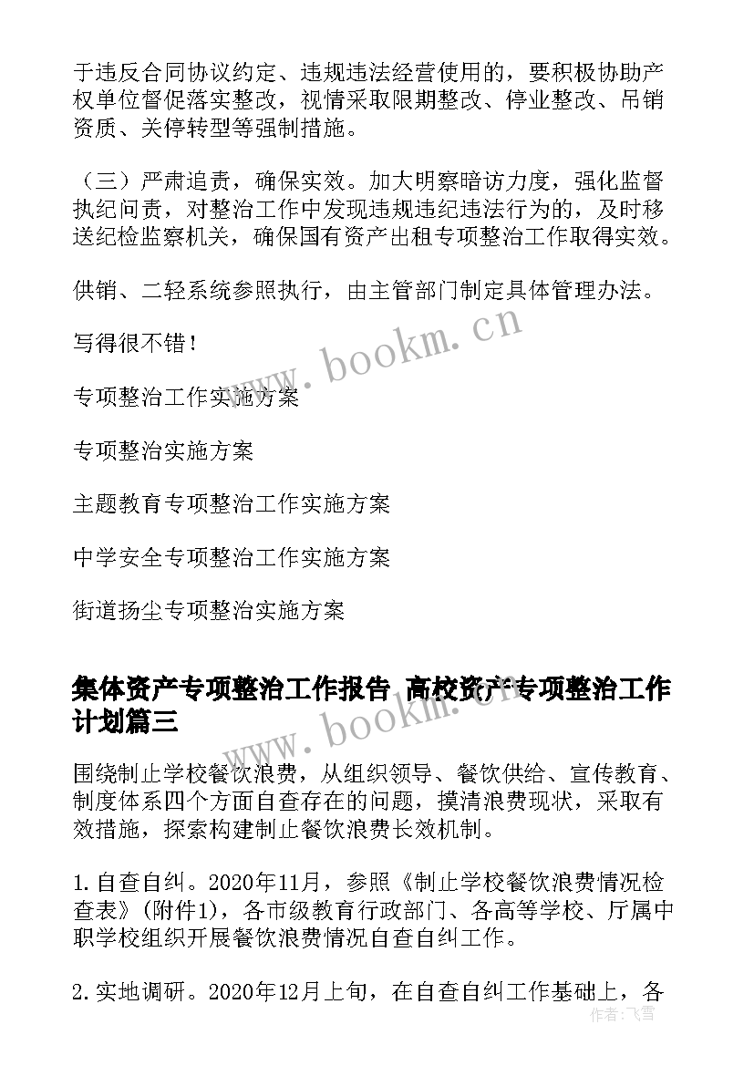 集体资产专项整治工作报告 高校资产专项整治工作计划(精选5篇)