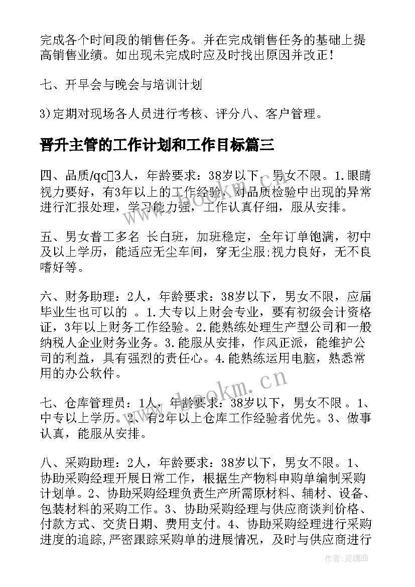 2023年晋升主管的工作计划和工作目标(精选8篇)