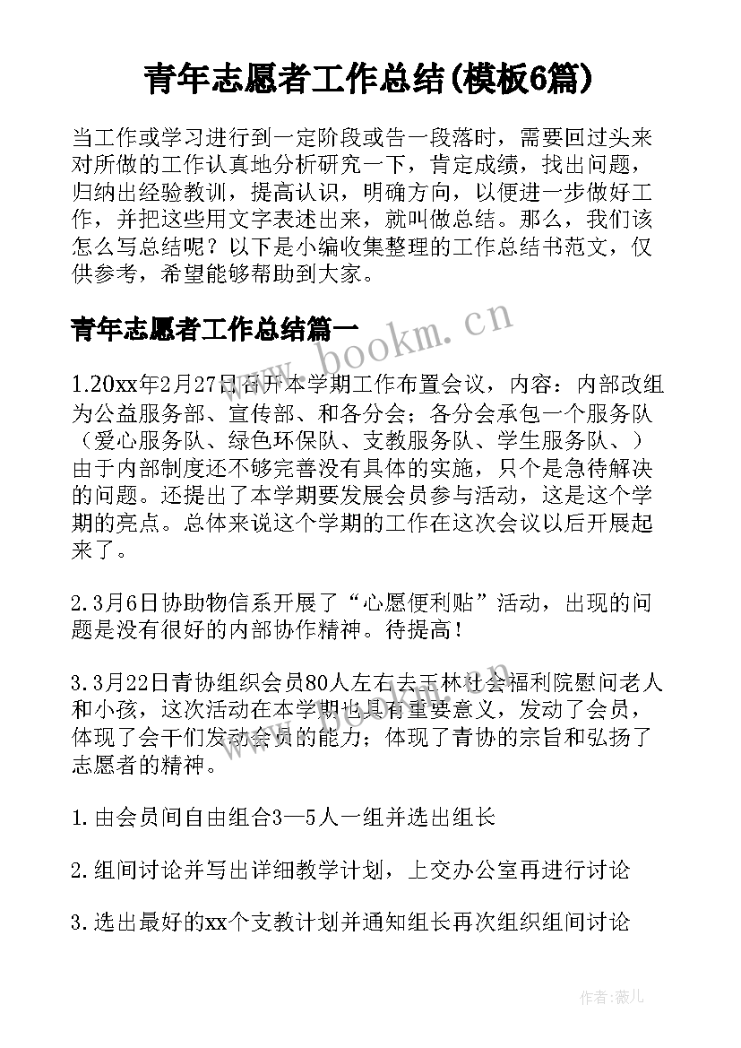 青年志愿者工作总结(模板6篇)