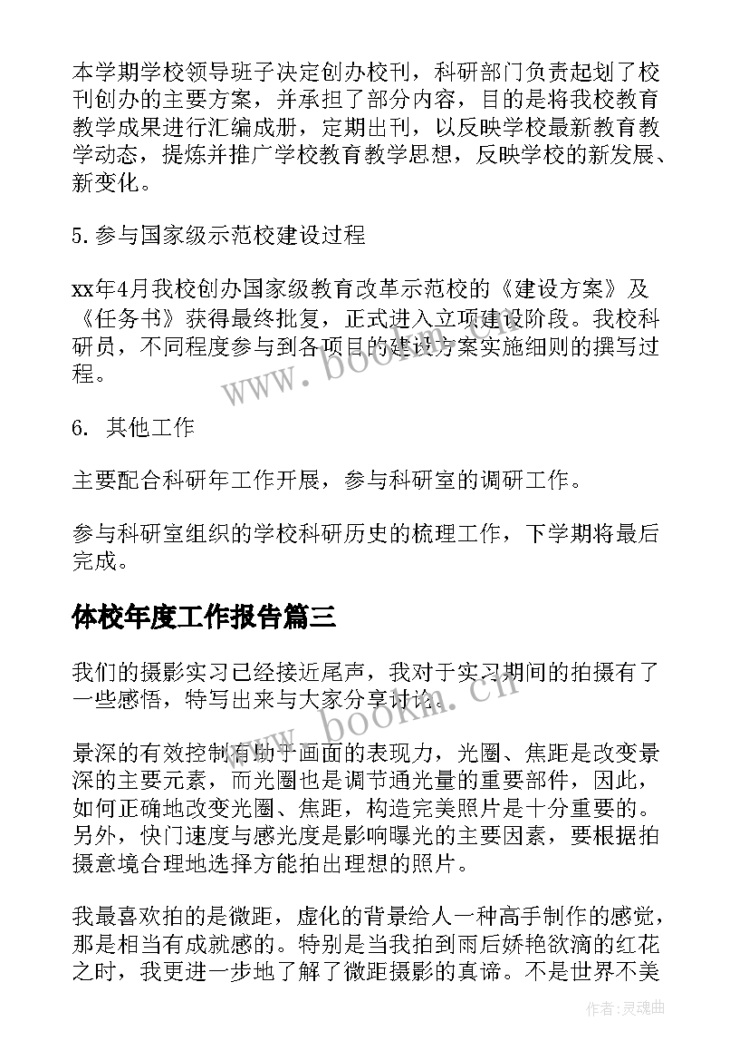 最新体校年度工作报告 年度工作报告(精选7篇)