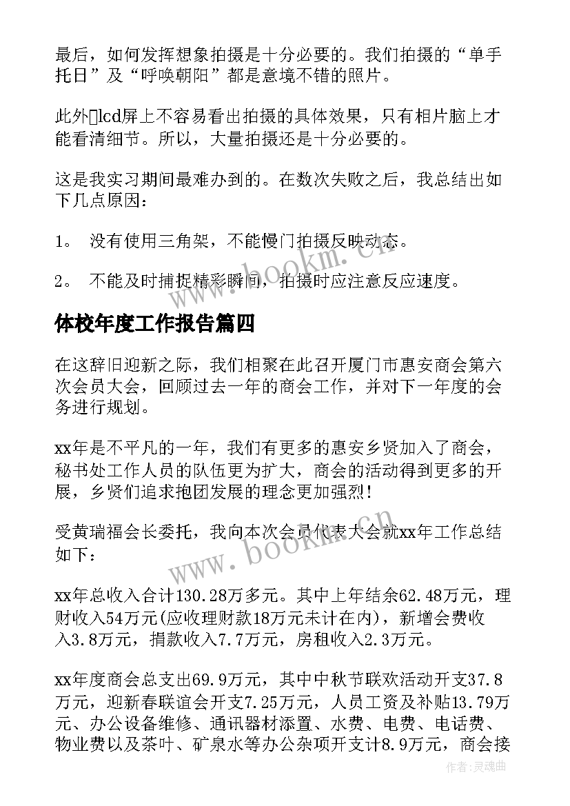 最新体校年度工作报告 年度工作报告(精选7篇)